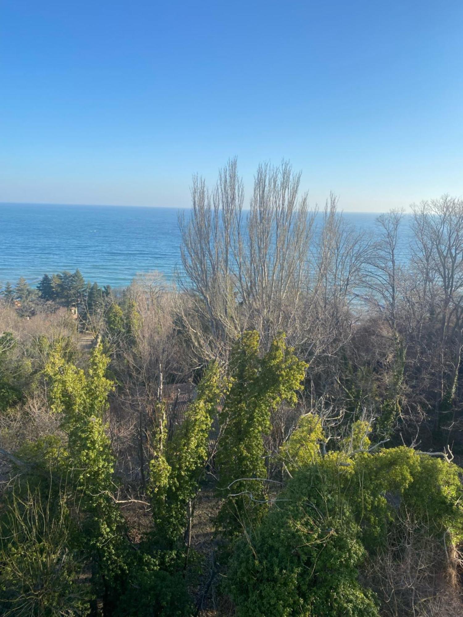 Queen'S Palace Balchik Apartment Εξωτερικό φωτογραφία